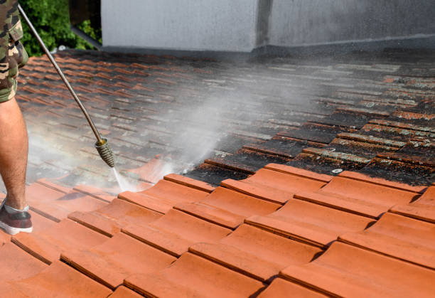 Best Affordable Power Washing  in Williston Highlands, FL